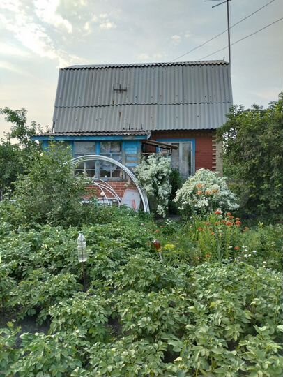 Дача 34 м² на участке 5 сот.