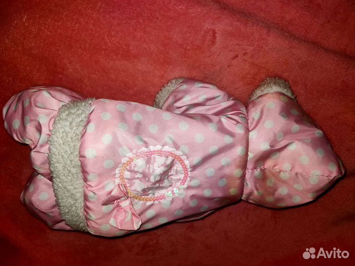 Одежда для собачки