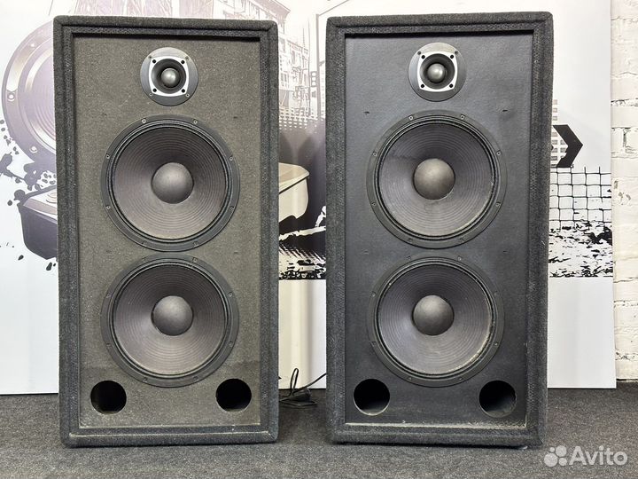 Активные колонки yerasov AR 300