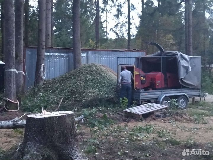 Расчистка участков спил деревьев измельчение веток