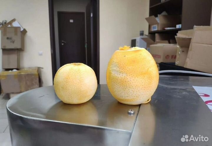 Станок для очистки апельсинов и мандаринов MY-20