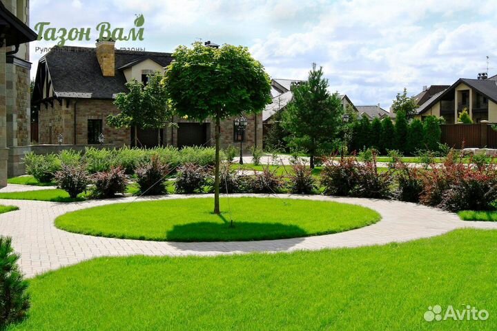 Газон рулонный делюкс