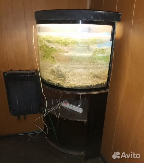 Аквариум