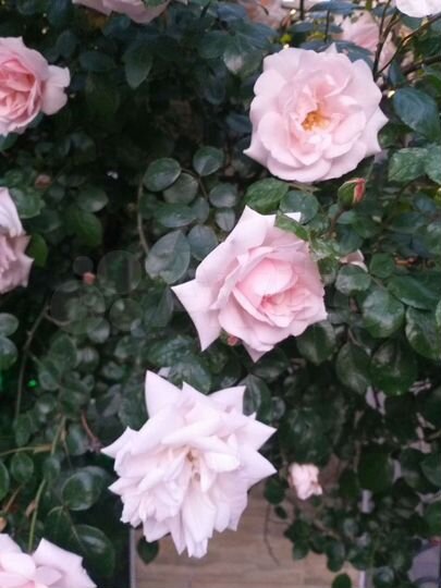 Комната 13 м², 2/2 эт.