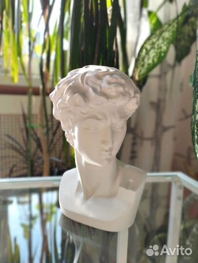 Гипсовая фигура Академическая бюст Давида новый