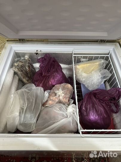 Морозильник камера