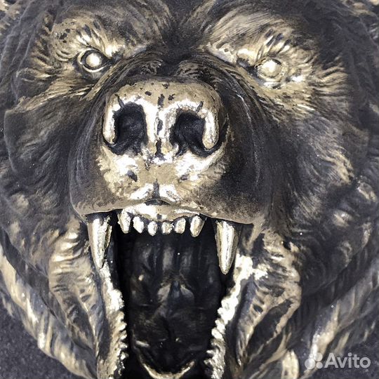 Морда медведя