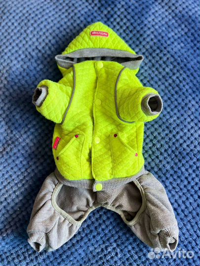 Одежда для маленьких собак