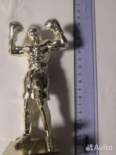 Кубок по боксу