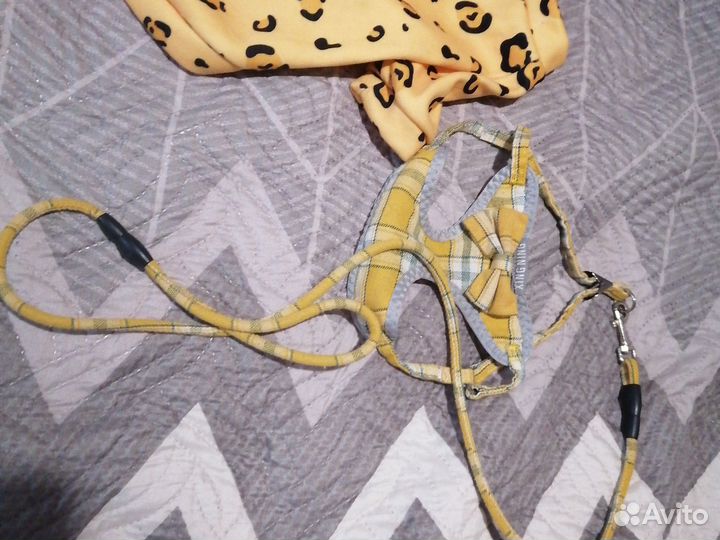 Толстовка для собачки