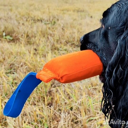 Апорт-поноска 