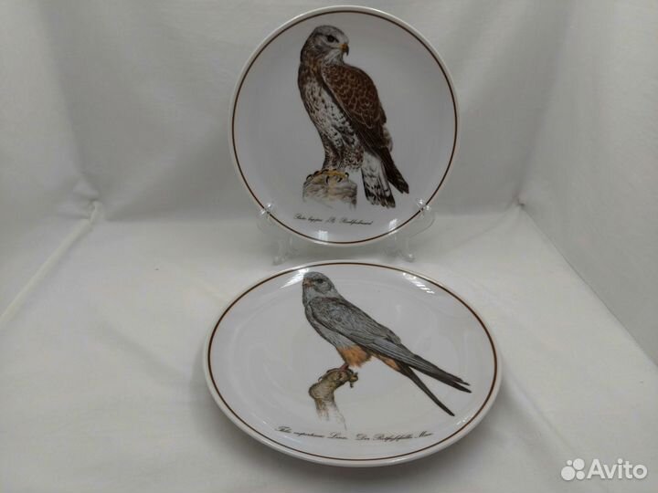 Настенная декоративная тарелка * Кобчик* Мохноноги