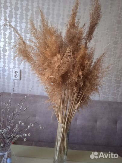 Декоративные цветы