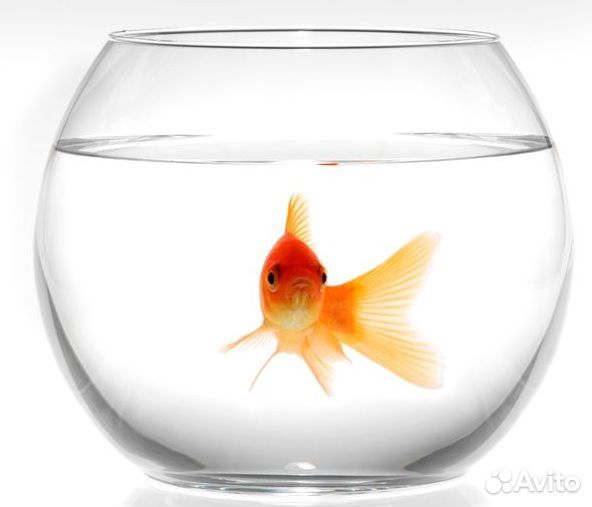 Круглый аквариум 1-13л