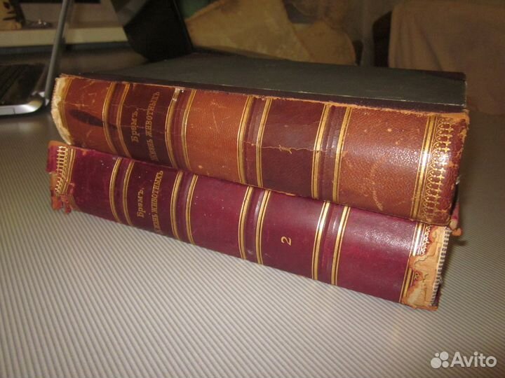 Брэм 2 тома 1902 год