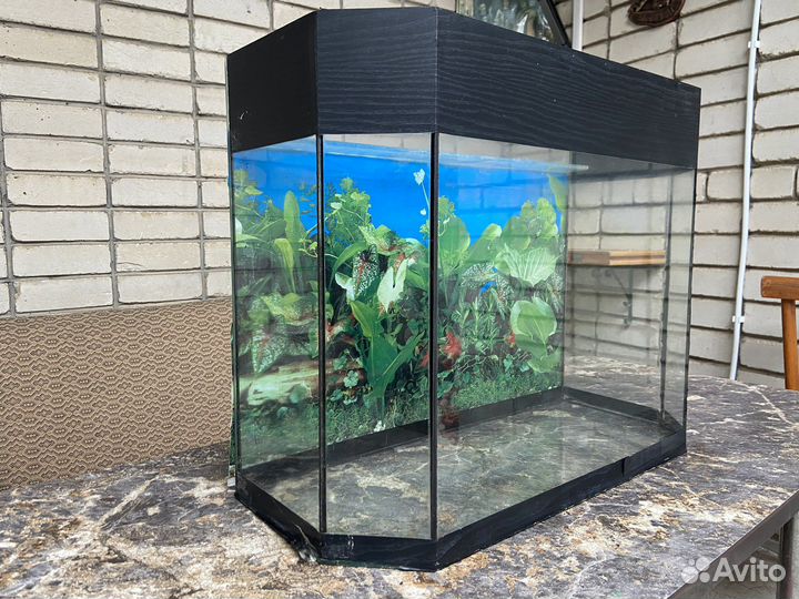 Аквариум
