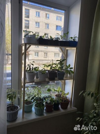 Этажерка-подставка под цветы и рассаду