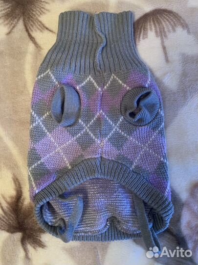 Одежда для маленьких собак