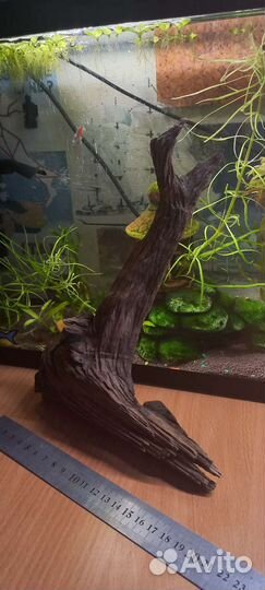 Коряги в аквариум