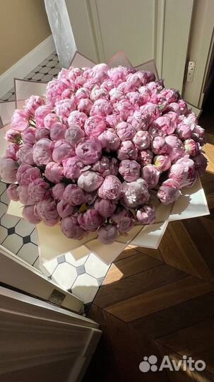 Розы Пионы букеты 101 201 Доставка за час