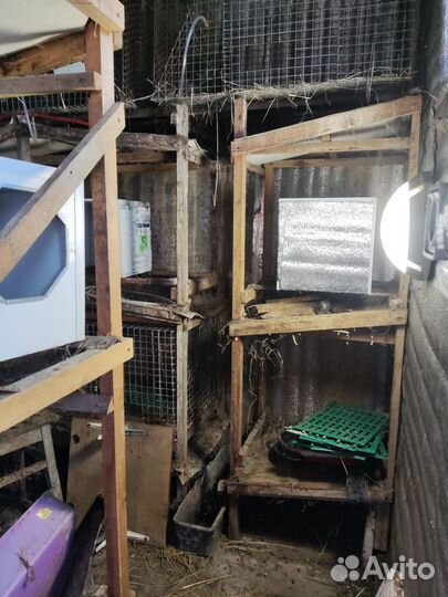 Клетка для кролика. Клетки для кроликов. Стеллаж