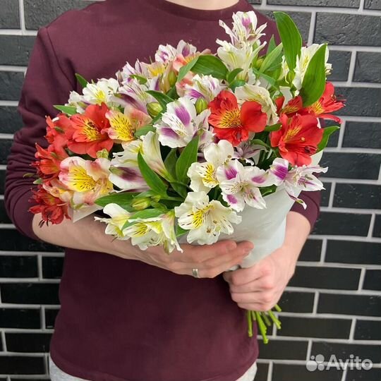 Альстромерия микс 101 шт