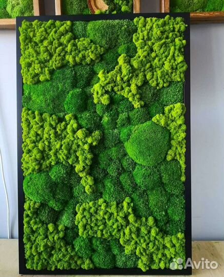 Стабилизированный мох фитокартина панели