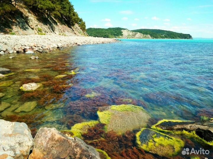 Тур в Кабардинку, бухту Инал, отдых на море