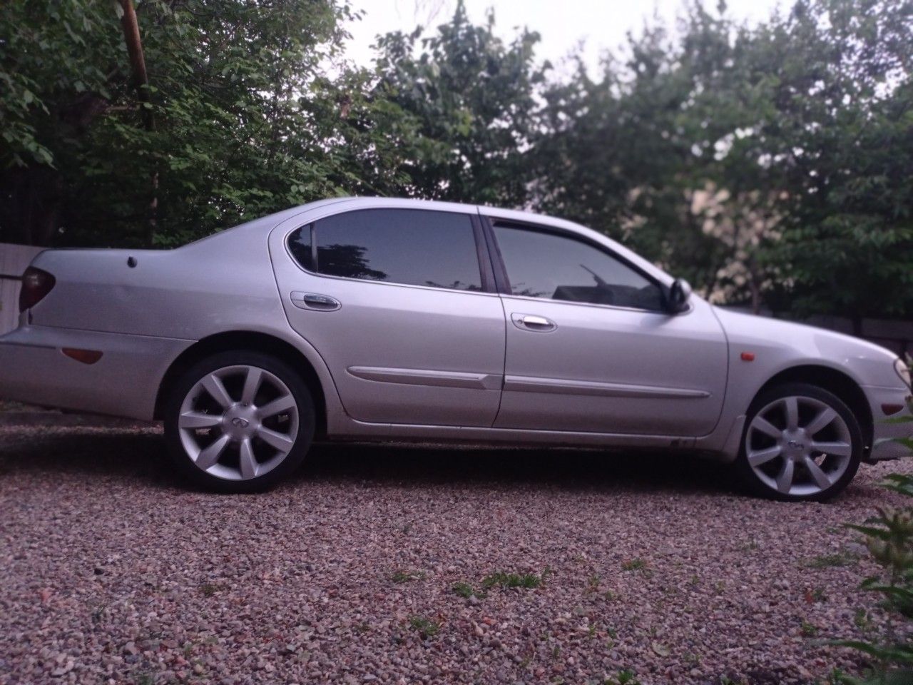 Nissan Cefiro: фото владельца