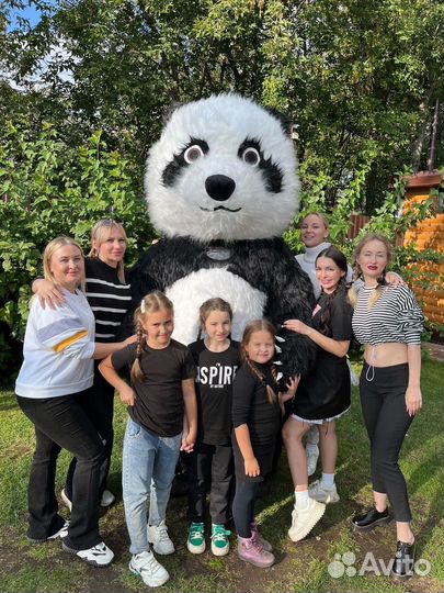 Белый мишка и Панда экспресс поздравление