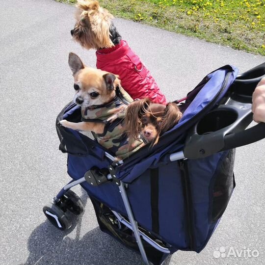 Коляска для собак до 15 кг + дождевик