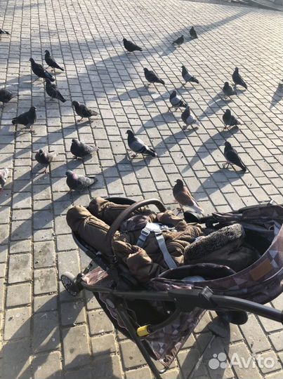 Детские коляски прогулочные
