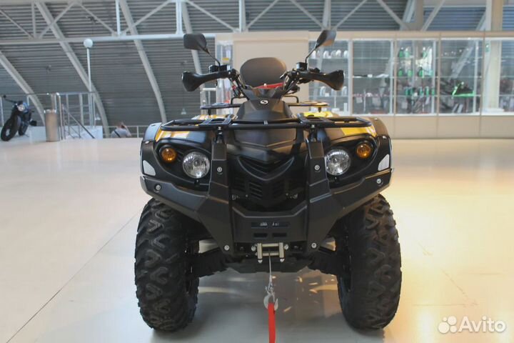 Квадроциклы Stels ATV 600 YL Leopard