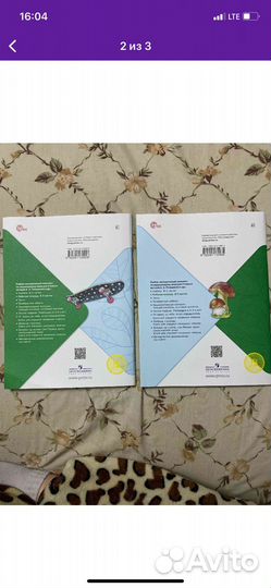 Рабочая тетрадь по окружающему миру 2 класс