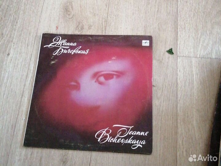 Виниловые пластинка Жанна Бичевская