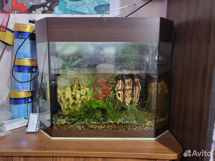 Аквариум