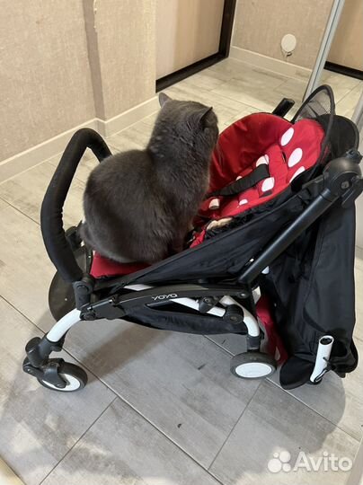Запчасти на коляску yoya