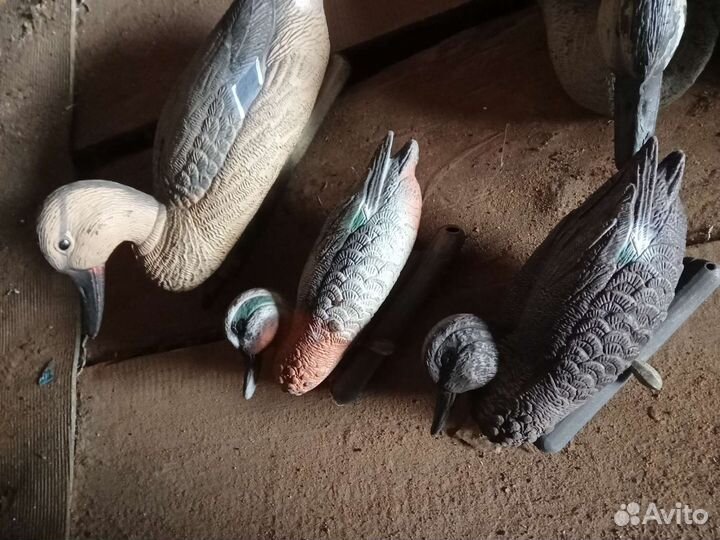 Утки чучела