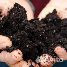 Грунт чернозем