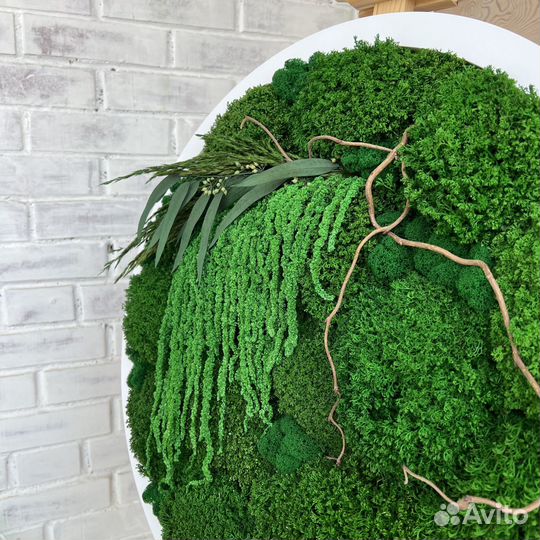 Стабилизированный мох