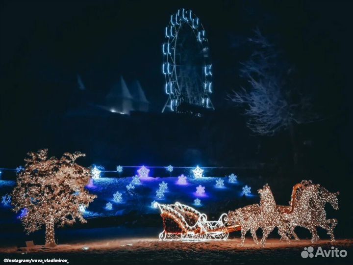 Тур Мержаново+дельфинарий+ Лога