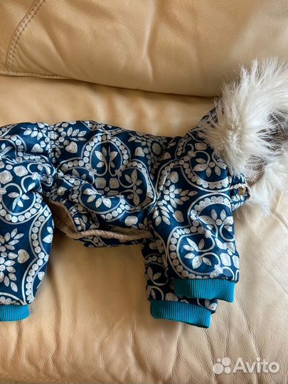 Зимние комбинезоны на маленькую собачку. Кобель