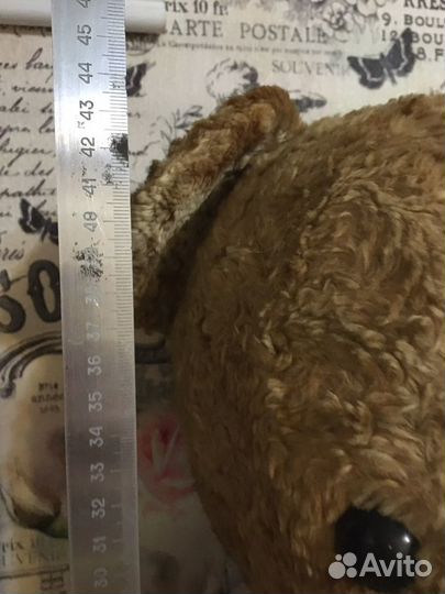 Медведь СССР