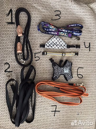 Амуниция для собак