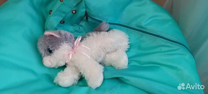 Заяц в костюме