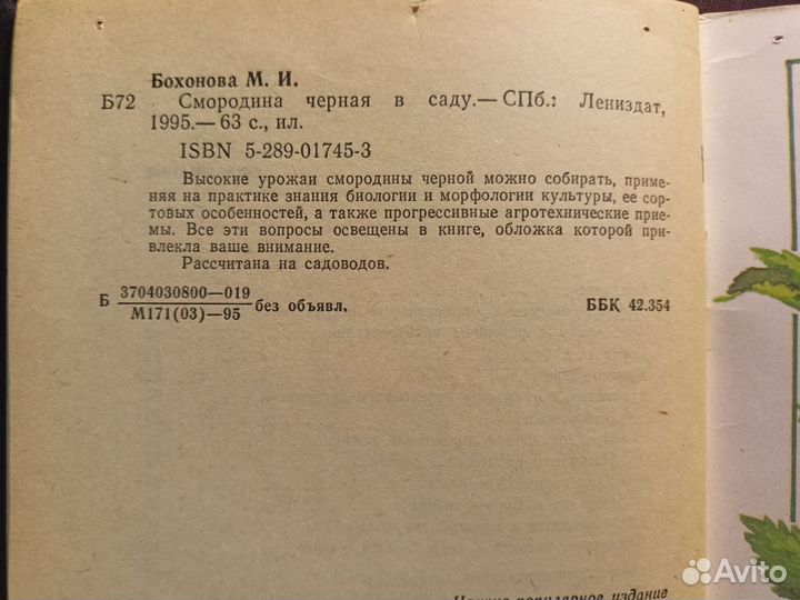 Смородина черная в саду 1995 М.Бохонова