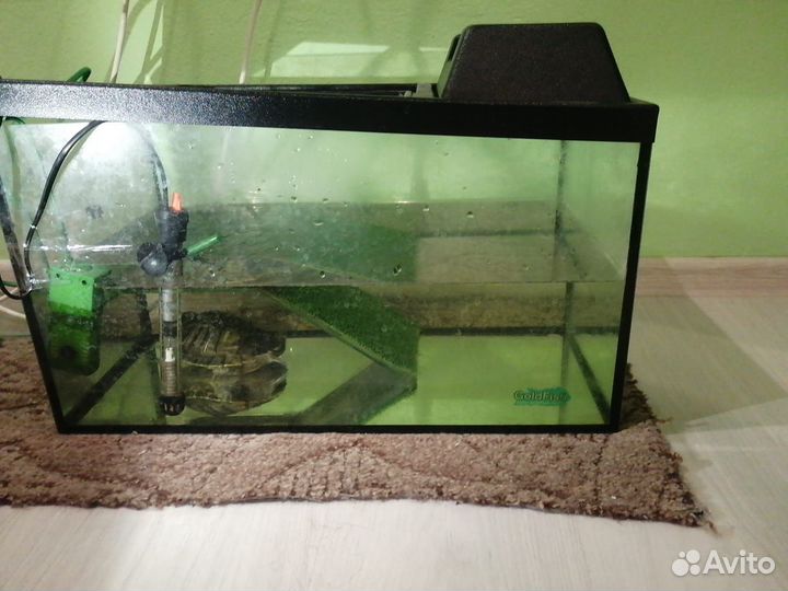 Аквариум