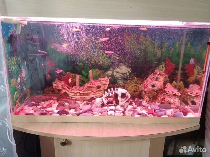 Аквариум с тумбой 120л