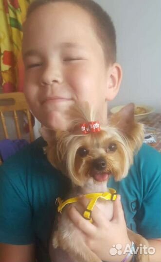 Вязка. Опытный жених ждёт невесту в гости