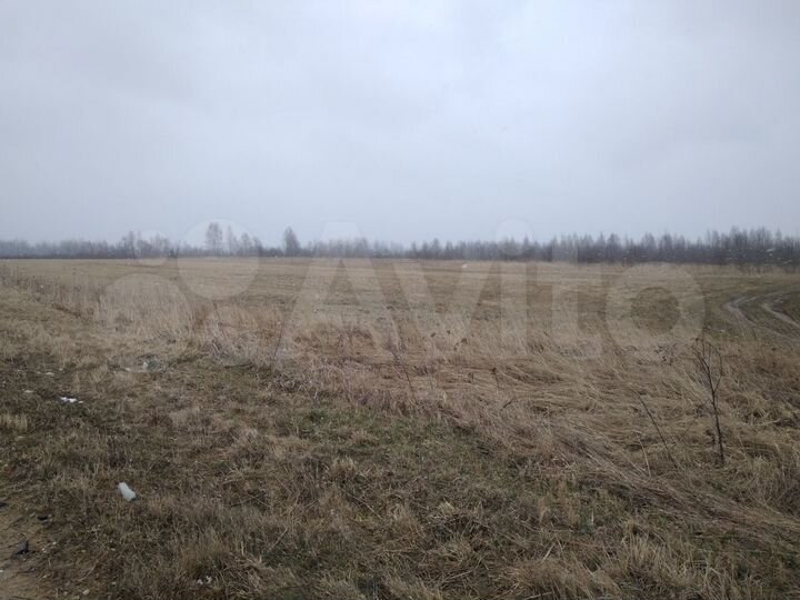 Участок 2,5 га (СНТ, ДНП)